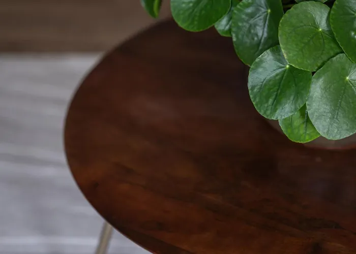 Pachamama Bed & Breakfast *